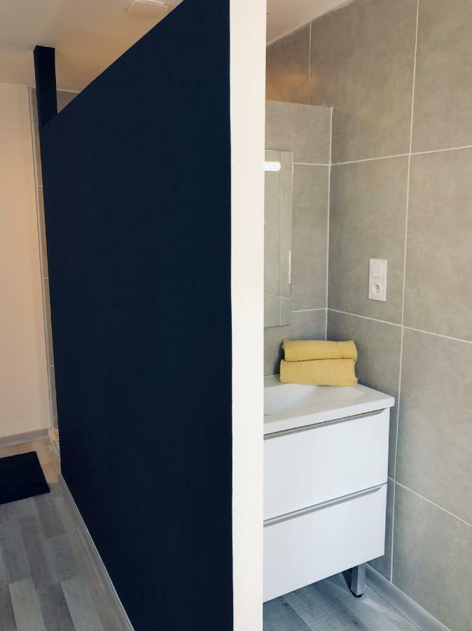 Apartment Spacieux, Climatise, Quartier Calme, Proche Chateau, Le Cocon De Joy