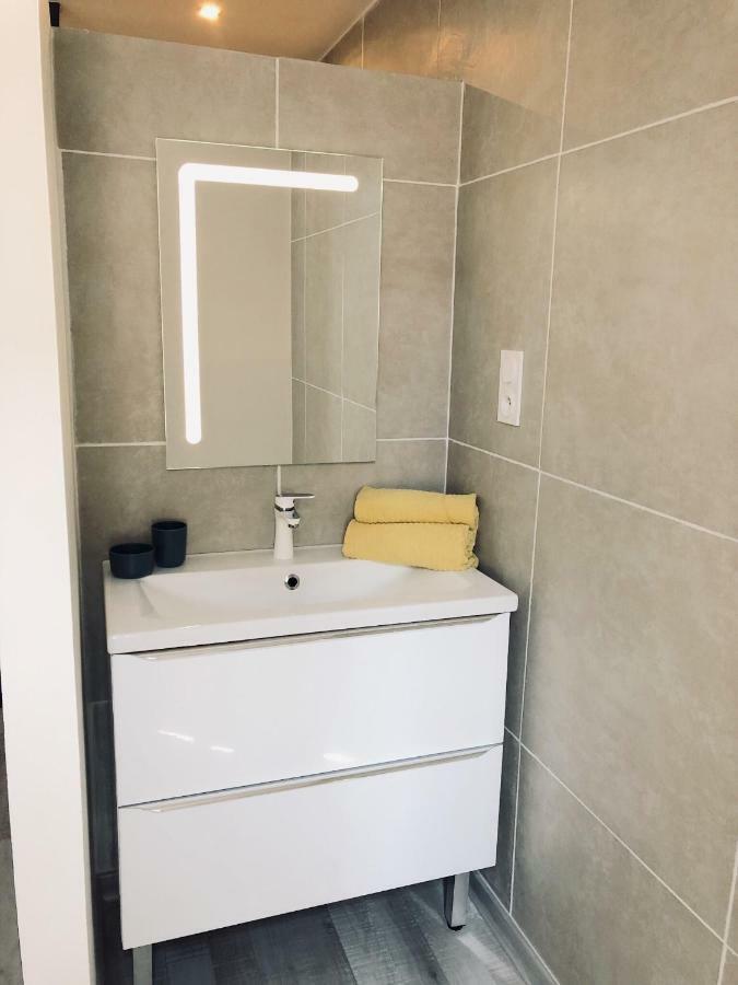 Spacieux, Climatise, Quartier Calme, Proche Chateau, Le Cocon De Joy Apartment Carcassonne